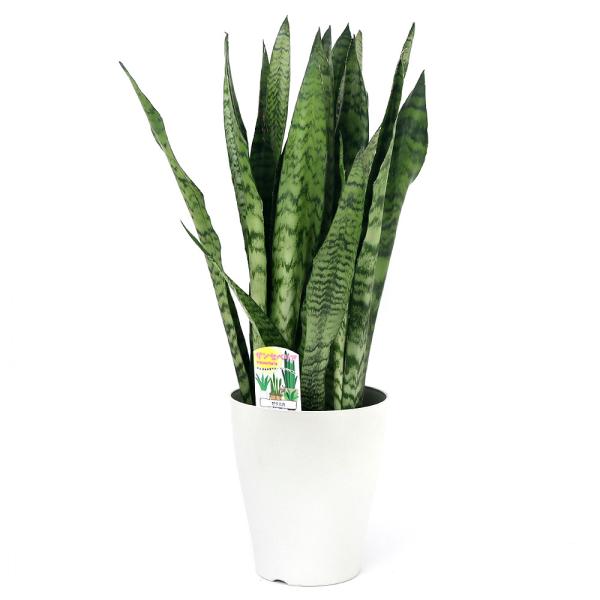 iϗtAj^@CeA@TXxA@[jJ@U`ViPj