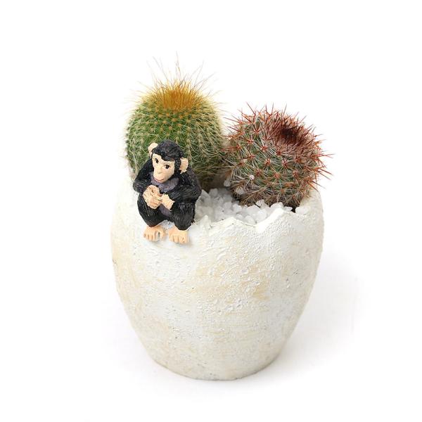 iϗtAjT{eQ񂹐A@GbO|bg@`pW[@XiPjł܂鍻