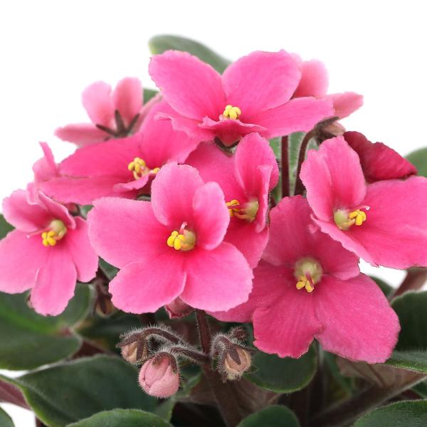 iϗtAjZg|[A@WFVJ@Cm[o@RDTiPj