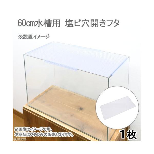 塩ビ穴開きフタ ６０ｃｍ水槽用 オールガラス水槽 小動物 爬虫類 飼育 ケージ フタ 幅６０ 奥行３０ｃｍ水槽用 チャーム Charm Paypayモール店 通販 Paypayモール