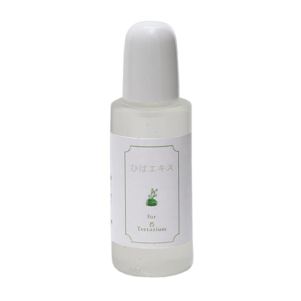 XY@Ђ΃GLX@QOk@ۃeE@hJr