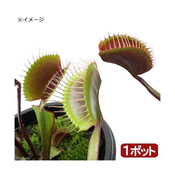 iHAjnGg\E@Cbh@QDT`RiP|bgjixԁj