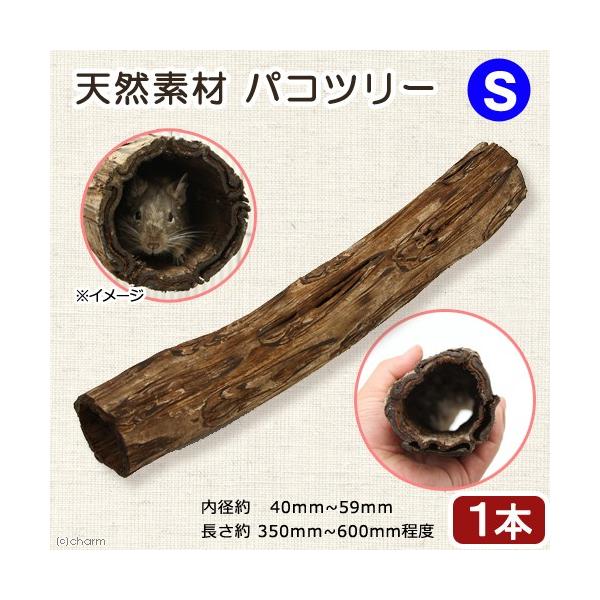 @@VRfނ̃gl@pRc[iV_̖؁j@rTCY@nX^[@V}X@fO[@K