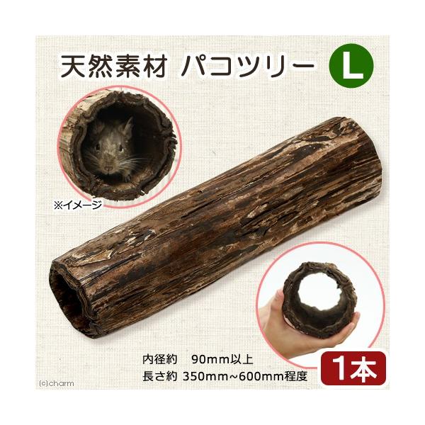 @@VRfނ̃gl@pRc[iV_̖؁j@kTCY@nX^[@V}X@fO[@K