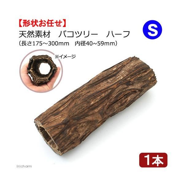 @@VRfނ̃gl@pRc[iV_̖؁j@n[t@rTCY@nX^[@V}X@fO[@K