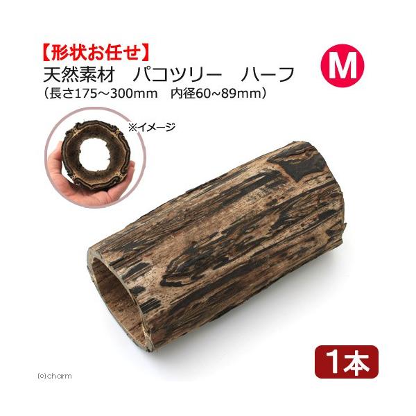 @@VRfނ̃gl@pRc[iV_̖؁j@n[t@lTCY@nX^[@V}X@fO[@K