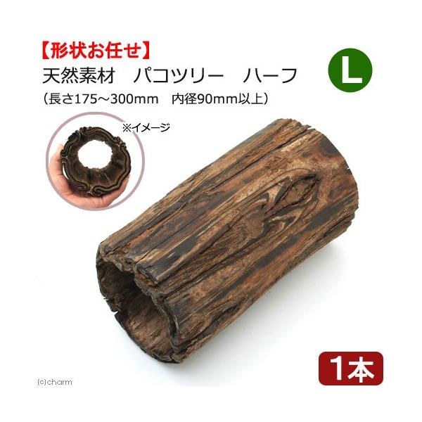 @@VRfނ̃gl@pRc[iV_̖؁j@n[t@kTCY@nX^[@V}X@fO[@K