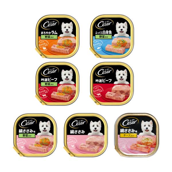 シーザー ウェットフード 成犬用 7種各6個 トレイ ドックフード