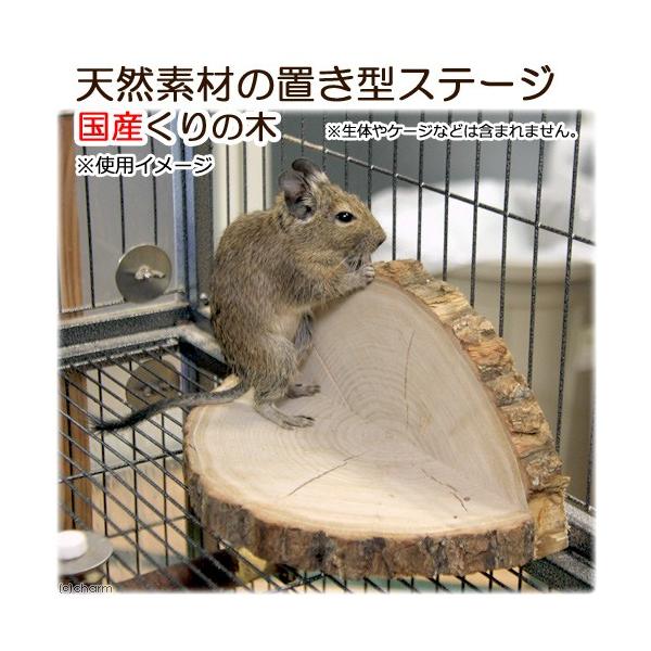 Y@VRfނ̒u^Xe[W@ĂS@؁@nhCh