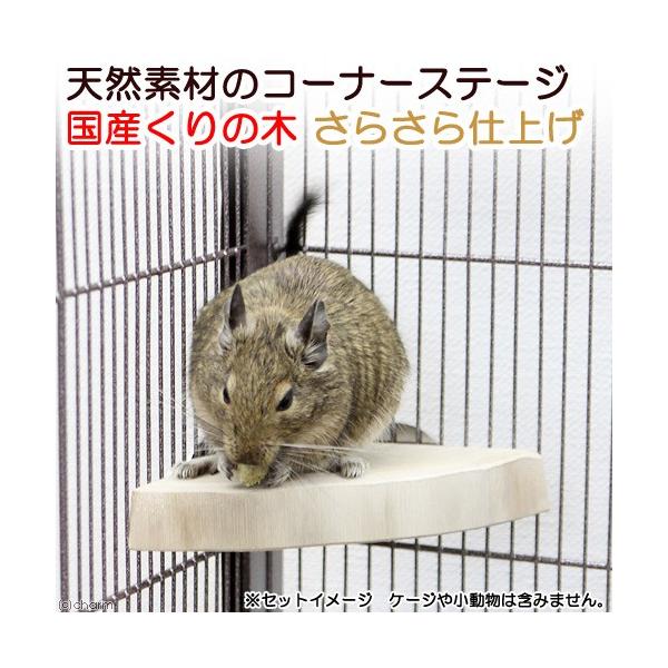 Y@VRfނ̃R[i[Xe[W@̖؁@炳dグ@ĂS@nhCh