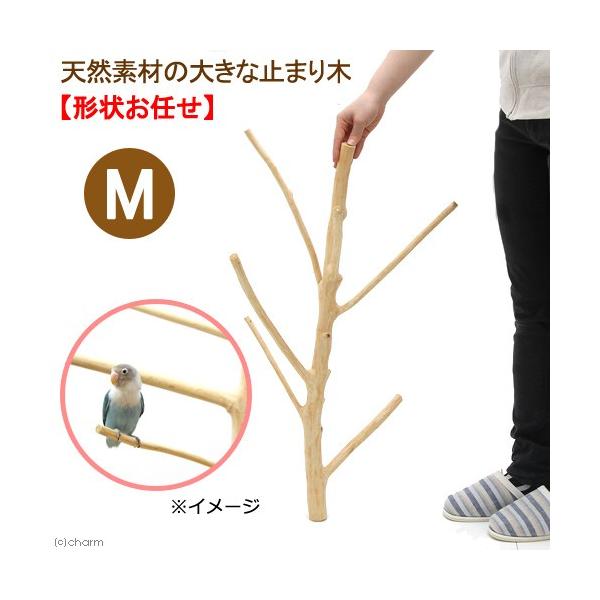 VRfނ̑傫ȂƂ܂؁@l@yȂ@tBsYVR؁@`󂨔C@llS_