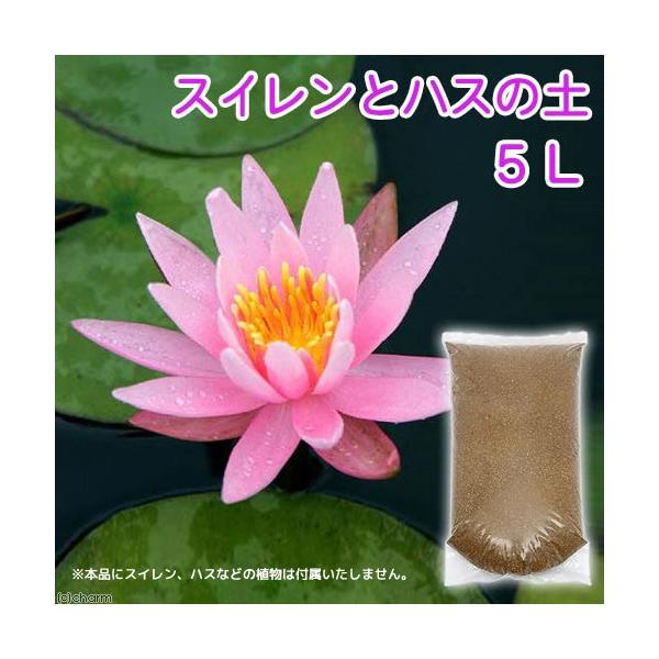 _gardening　ガーデニング　園芸用品　用土・砂　biotuti0224　ビオの土単品　水生植物の土　熱帯スイレンの土　スイレンの土　水草の土　ビオトープの土　スイレンとハスの土　手練りスイレンとハスの土　suiren_hasutut...