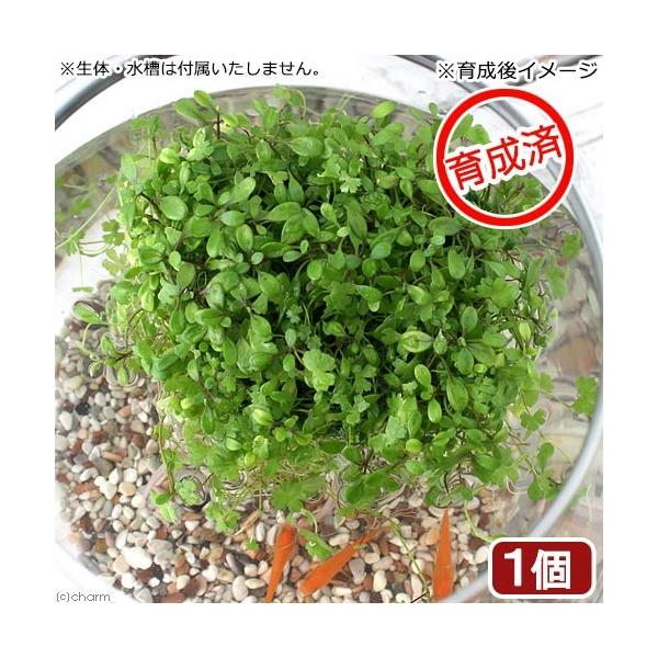 ijA@琬ρ@_JԕdāI`Όn~bNX`@@Y@BƁitjiPj