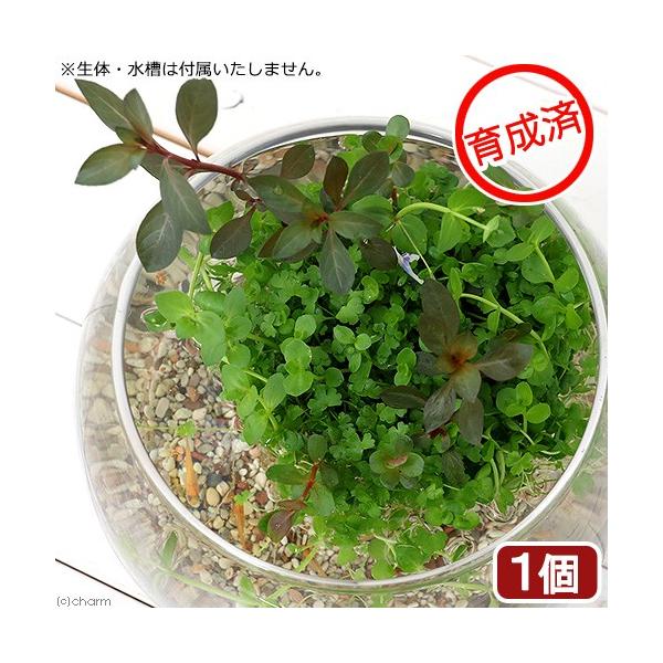 ijA@琬ρ@_JԘ̂ѓdāI`ԌnuD`@@Y@BƁitjiPj