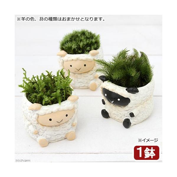 i~́jۖ~́@gAj}@qcW@F܂iPj