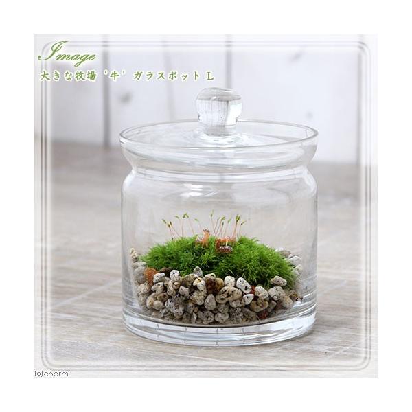 iϗtAjۃeE@ɘȂގ@KX|bgr@t@RPeE@ۃe@RPe@ہ@CeA