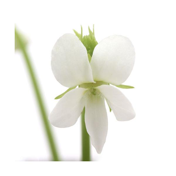 iR쑐jX~i俁jqcJX~@߁iVdjQDT`R@iP|bgjixԁj