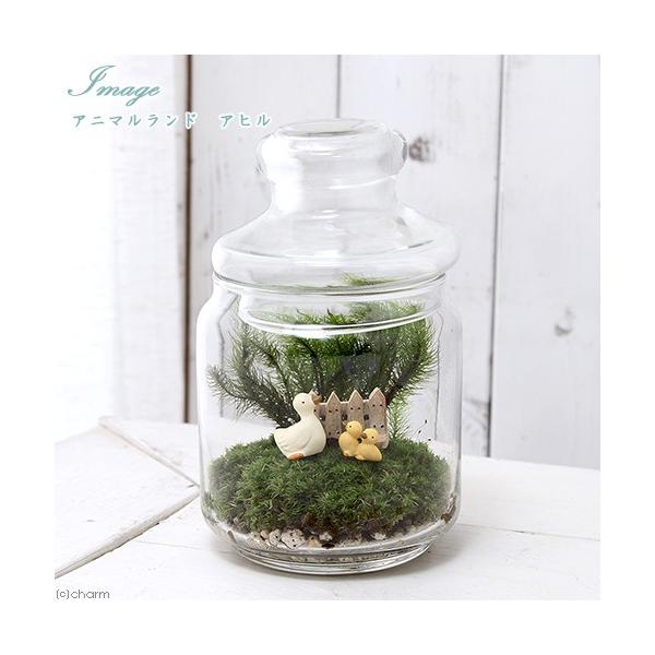 iϗtAjۃeE@Aj}h@Aq@t