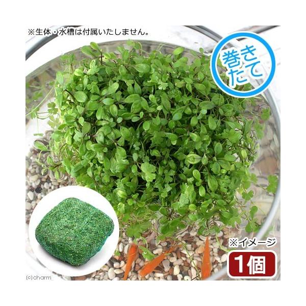 ijA@ā@_JԕdāI`Όn~bNX`@Y@BƁitjiPj