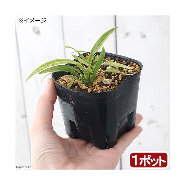 iR쑐jL`WE\Eigˑj@RiP|bgjixԁj