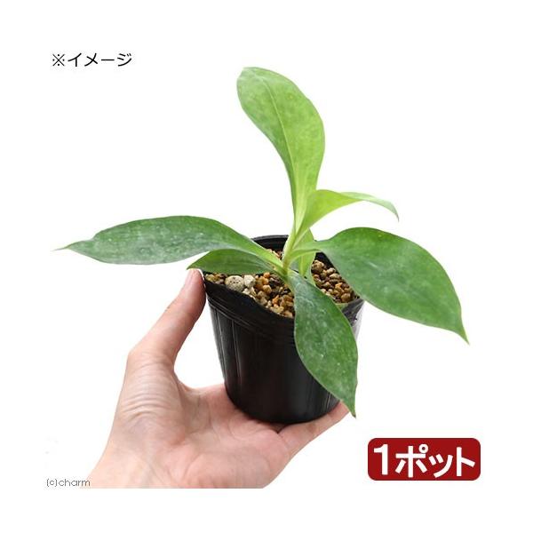 iR쑐jzggMXimCj@^JN}zggMXiGmCj@RiP|bgjixԁj