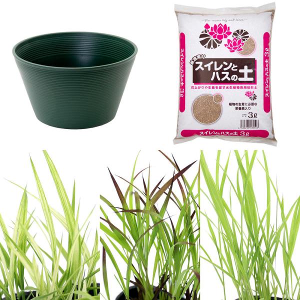 irIg[vjClg[v@c͔|Zbg@܂cR{@iO[j{Ō`엿{py@Ϗܗp@R@{Bl