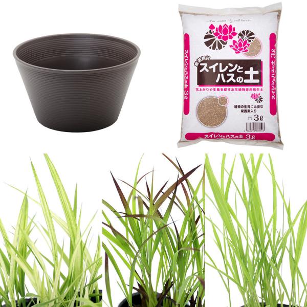 irIg[vjClg[v@c͔|Zbg@܂cR{@iuEj{Ō`엿{py@Ϗܗp@R@{Bl