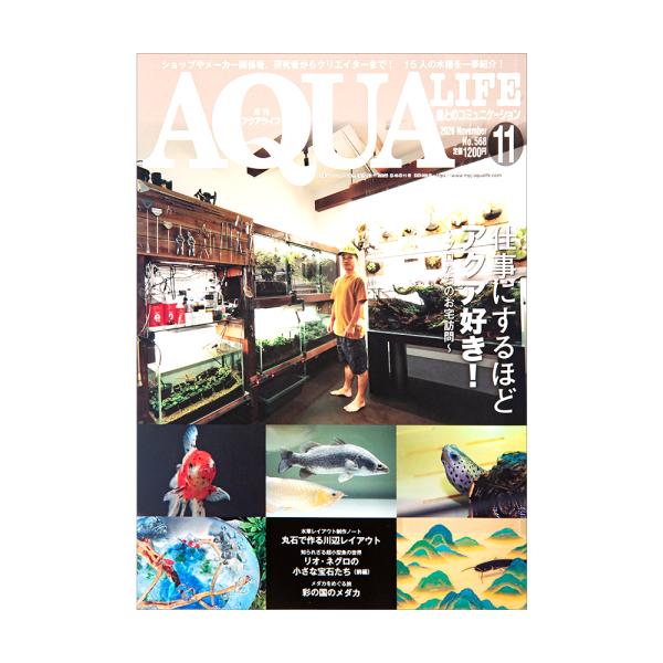 アクアライフ　１１月号（２０２６）