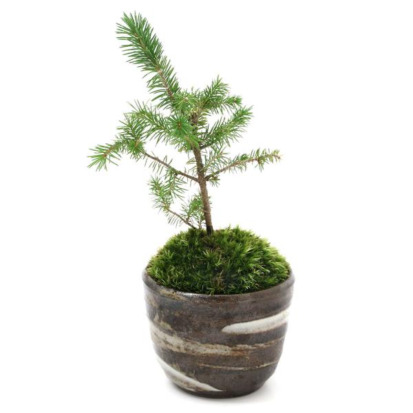 iR쑐jۖ~́@AJG]}c@LvqĐAؔiіځjiPj