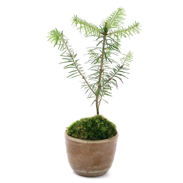 iR쑐jۖ~́@gh}c@LvqĐAؔiҌjiPjixԁj