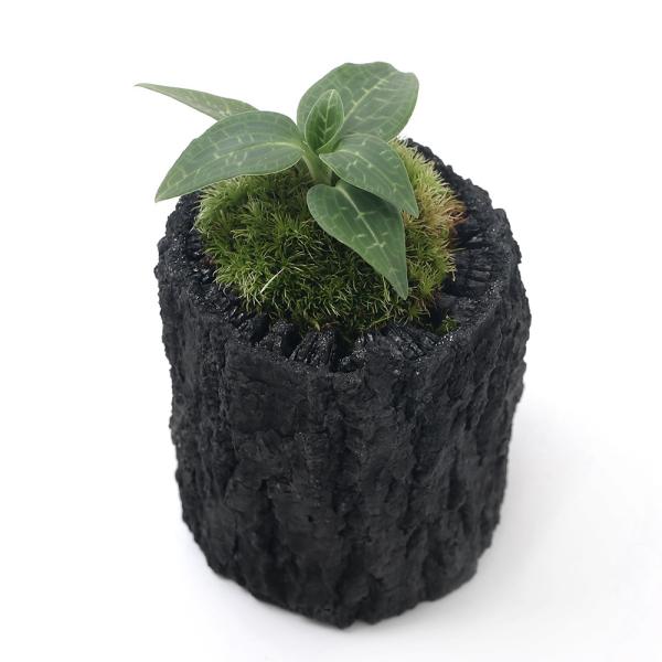 iR쑐jۖ~́@YA@~}EY@rTCYiPj