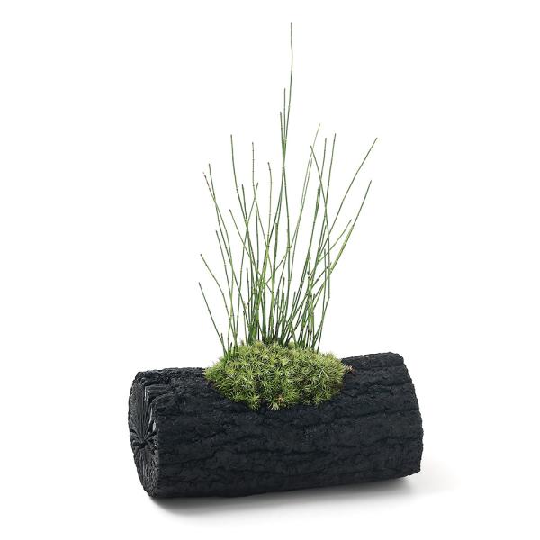 iR쑐jۖ~́@YA@qgNT@kTCYiPj