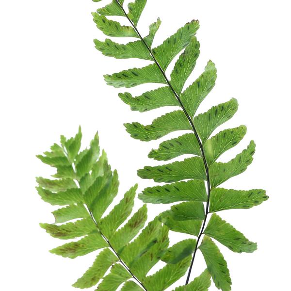 iR쑐jV_irjzErV_iPrjRiP|bgjΐN