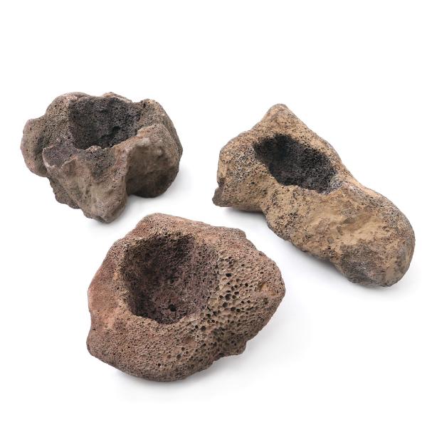 `󂨔C@nΔ@lTCY@ꌊLiPj