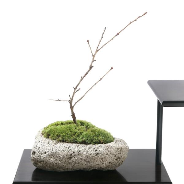 i~́jۖ~́@TNijxm@`nΔ`@rTCYiPjixԁj