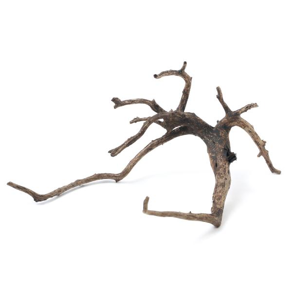 ɒށI@`󂨔C@؁@u`؁iX`PROjiP{j