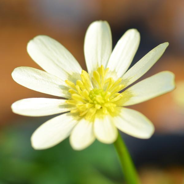 iR쑐jinqELJ@u`@QDTiP|bgjixԁj