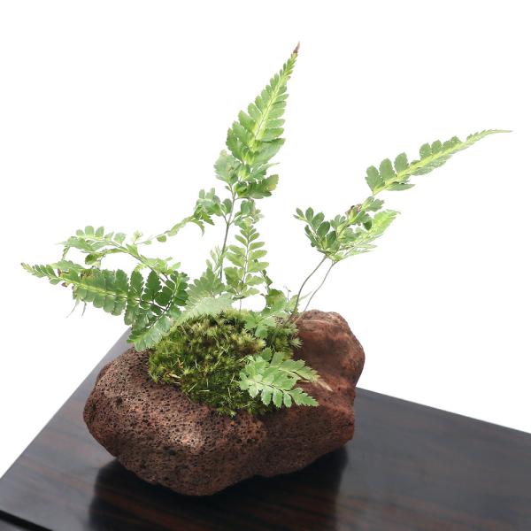 i~́jۖ~́@nJ^V_irj@nΔAiPj