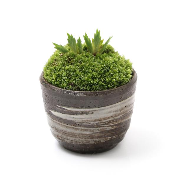 iR쑐jۖ~́@i킨܂RA@LvqĐAؔiіځjiPjixԁj