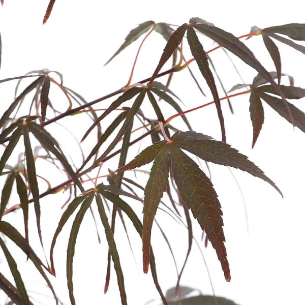 i~́j~W@|bg@Ԏ܎OiAJV`STjS`UiPjsixԁj