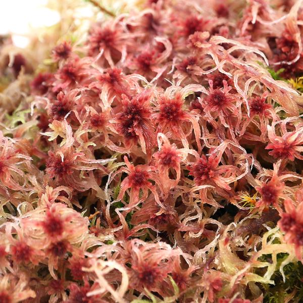 ieEjہ@TL~YSPiہj@PpbN