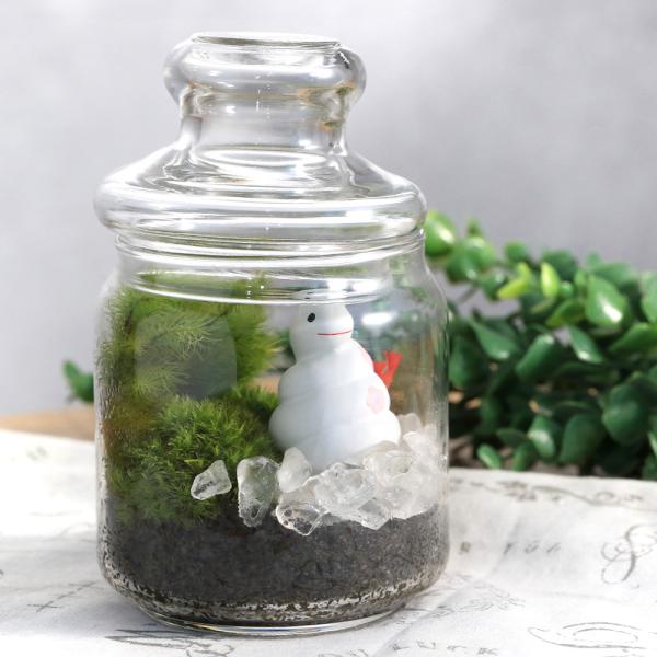 line2462terarium　interioraquastone　koketera　terrarium　テラリウム　テラリウムガラス　テラリウムキット　ガーデニング　観葉植物　苔テラリウム　コケテラリウム　苔盆栽　グラスアクア　インテリ...