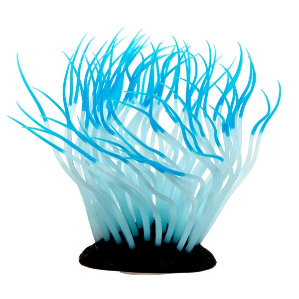 メーカー：カミハタ アクアリウム用品　_aqua　カミハタ　いそぎんちゃくん　Ｍ　ブルー　アクア用品　水槽用アクセサリー　海水用品　カクレクマノミ　ニモ　イソギンチャク　隠れ家　かくれが　触手　簡単　かんたん　20170511　ＫＫ　497...