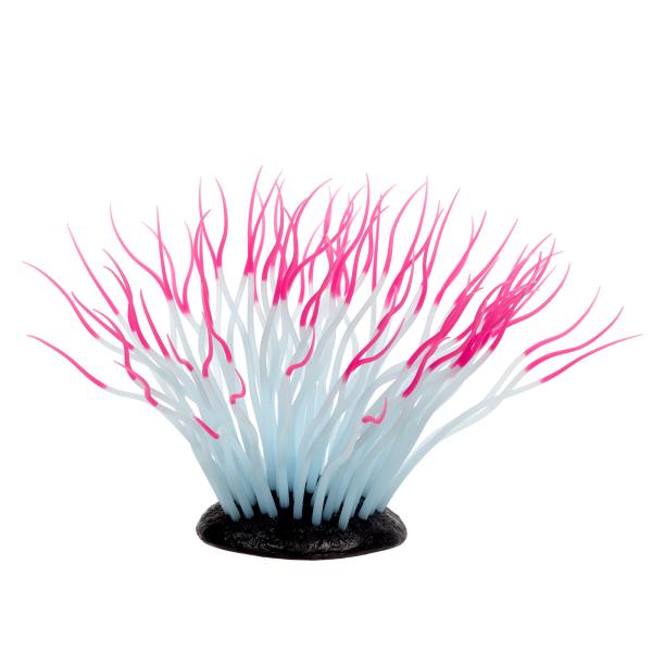 メーカー：カミハタ アクアリウム用品　_aqua　カミハタ　いそぎんちゃくん　Ｍ　ピンク　アクア用品　水槽用アクセサリー　海水用品　カクレクマノミ　ニモ　イソギンチャク　隠れ家　かくれが　触手　簡単　かんたん　20170510　ＫＫ　497...