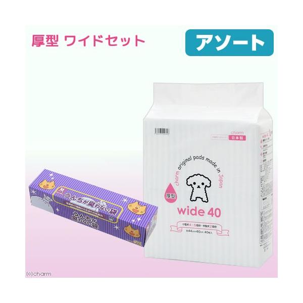 ybgV[c@Ch@^@SO@{@񂿂LȂ܁@anr@ybgp^@lTCY@XO@llP_