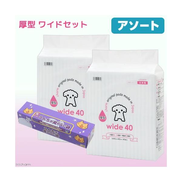 ybgV[c@Ch@^@SO×Q܁@{@񂿂LȂ܁@anr@ybgp^@lTCY@XO@llP_