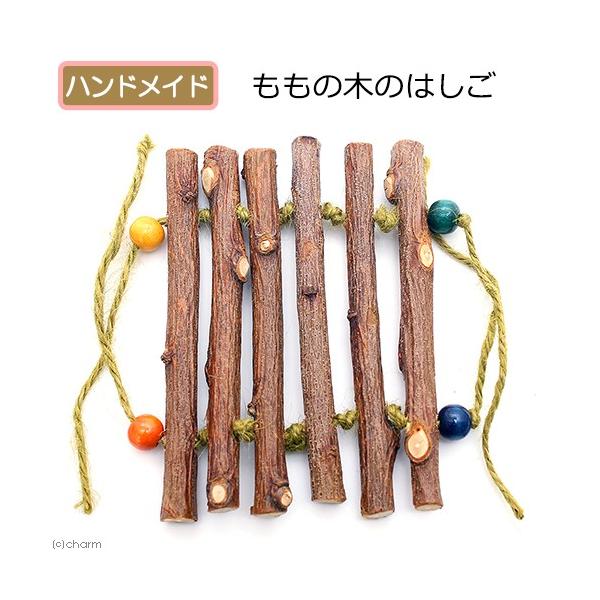 ̖؂̂͂@nhCh@F܂@snqhsnxV[Y@