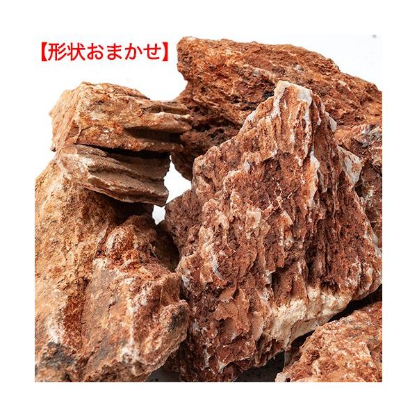 `󂨔C@΁@TCY~bNX@T@ST@ANAE@CAEgf