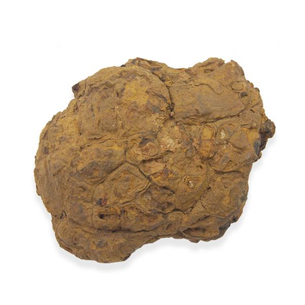 `󂨔C@b΁@lTCYiPO`PTj@P@CAEgfށ@঒