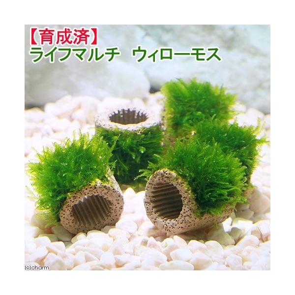 ij琬ρ@Ct}`ijEB[Xitji_jiTj